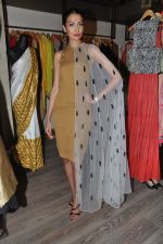 at Atosa-Nikhil Thampi-Virtuous fashion preview in Mumbai on 6th Sept 2013 (65).JPG
